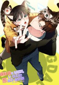 Mèo con của tôi đâu